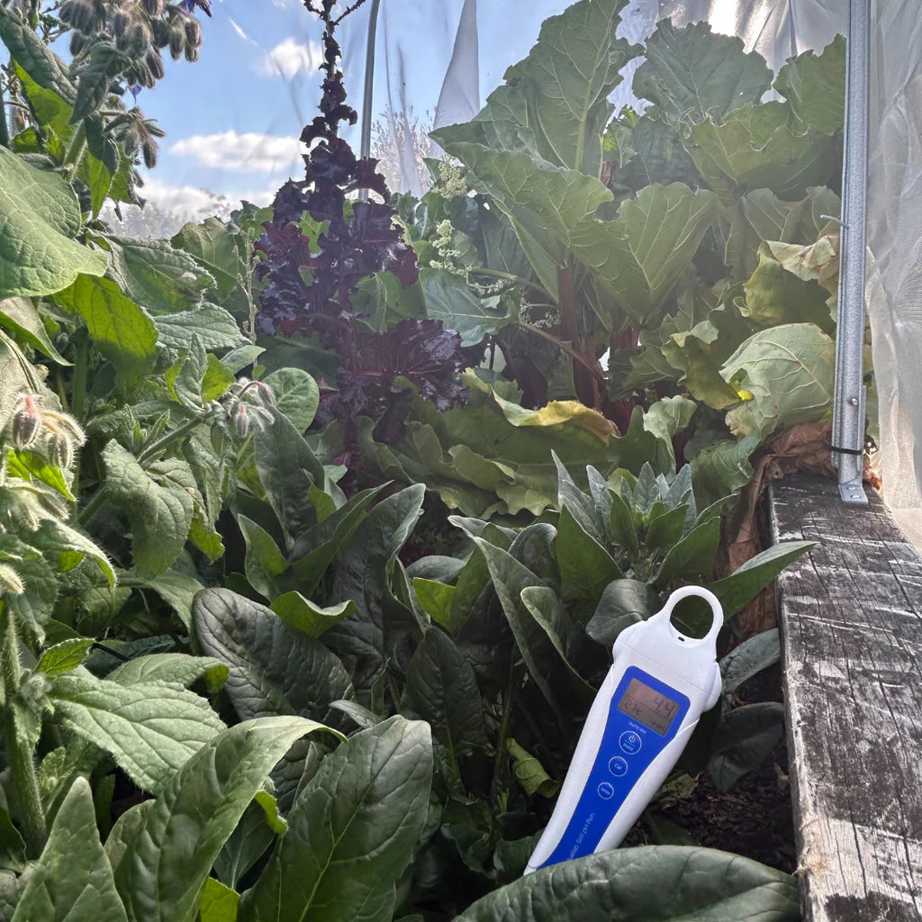 Bluelab Soil pH Pen